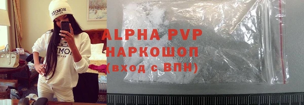 соль ск Няндома