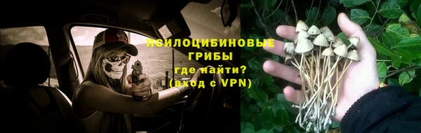 МДПВ Нязепетровск
