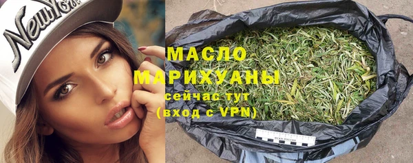 соль ск Няндома