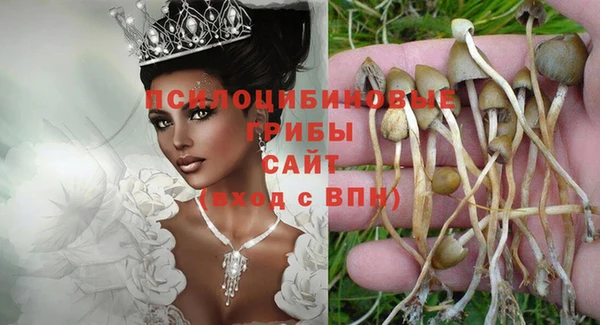 соль ск Няндома