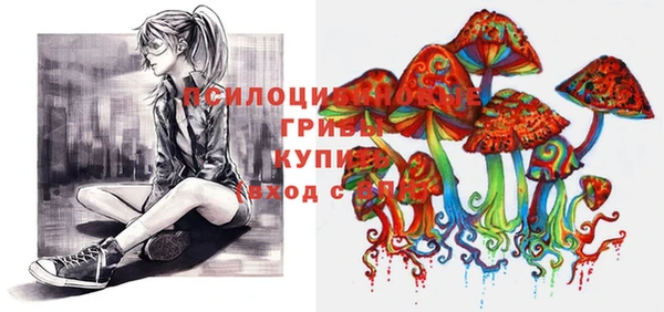 mdpv Нягань
