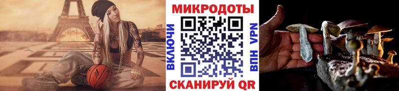 где можно купить Новокузнецк Галлюциногенные грибы GOLDEN TEACHER