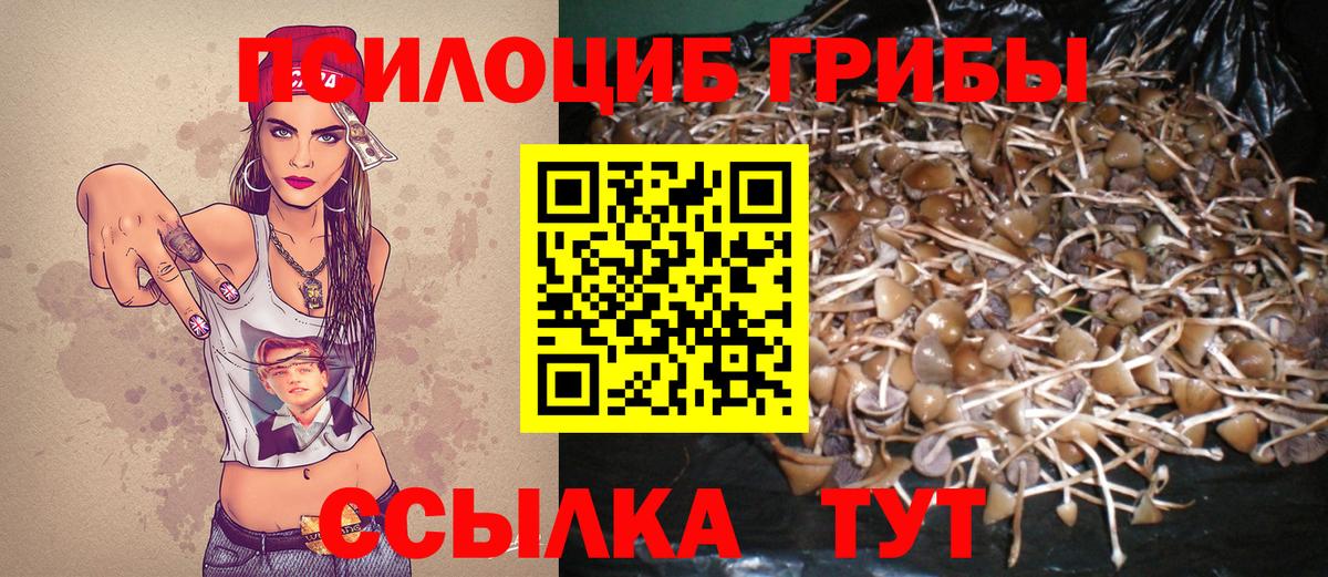 Галлюциногенные грибы ЛСД Новокузнецк