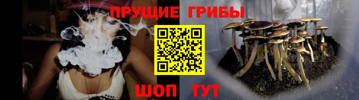 Галлюциногенные грибы ЛСД  Псилоцибиновые грибы мухоморы  Вход с VPN  Новокузнецк 
